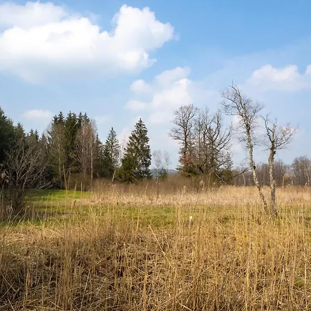 Moderne In Leutkirch Lejlighed