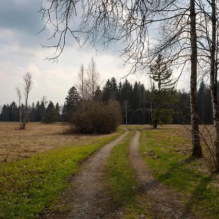 Moderne In Leutkirch Leutkirch im Allgäu