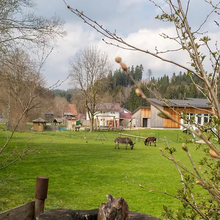 Moderne In Leutkirch